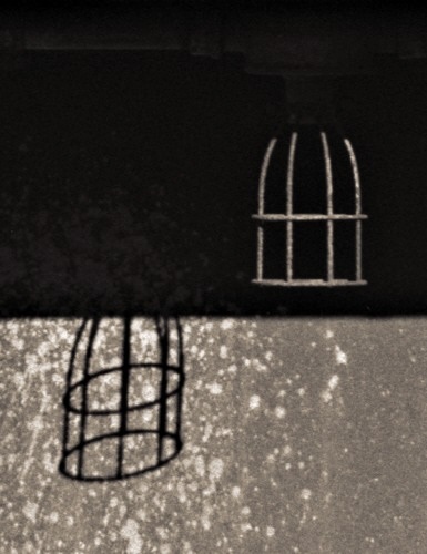 Light Cage